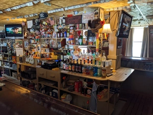 Squirrel Cage Tavern avatar