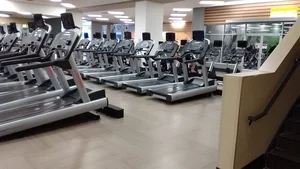 LA Fitness avatar
