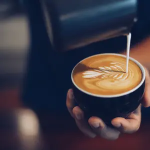 Louie Coffee Shop avatar