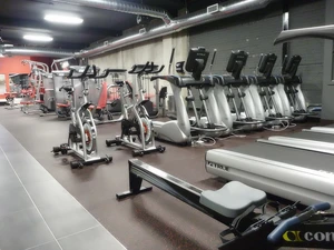 Vive Fitness 24/7 Gerrard Toronto avatar