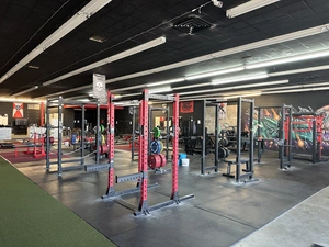 Risk Barbell avatar
