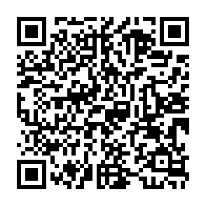 QR Code for City Garden Bar & Restaurant