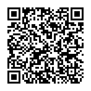 QR Code for Restaurante Singular