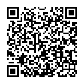 QR Code for 13 Coins Seattle