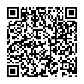 QR Code for Hunger in the Wild Gym