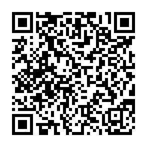 QR Code for PARADIGM Gym 24hr