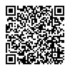 QR Code for Murray Street Coffee Shop