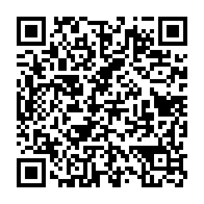 QR Code for City Tap House Dupont