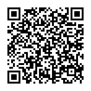 QR Code for Aviv Immigrant Kitchen