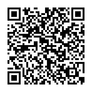 QR Code for Squirrel Cage Tavern