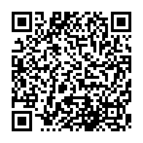 QR Code for Cafe Oro di Napoli