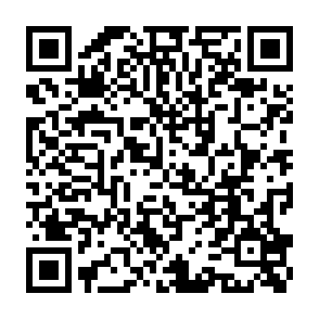 QR Code for Loaded Pierogi