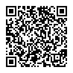 QR Code for El Dorado Grill & Bar