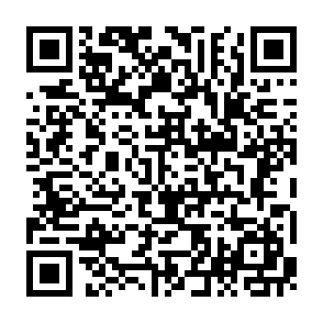 QR Code for Found Coffee | Bellwoods