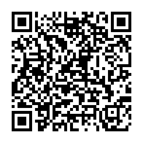 QR Code for Black wolf coffee