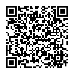 QR Code for Woolshed Coffee