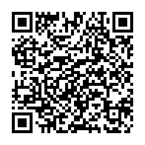 QR Code for The Painted Lady