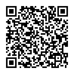 QR Code for Dutch Kitchen Restaurant