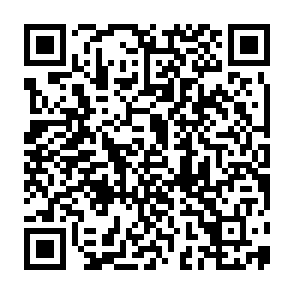 QR Code for O'Brien's Marina