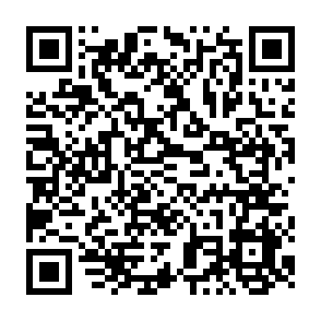 QR Code for The Green Zone