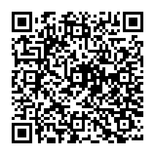 QR Code for D'Mario's Pizza and Cheney Lanes