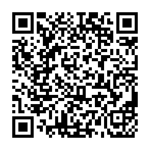 QR Code for Amano Trattoria