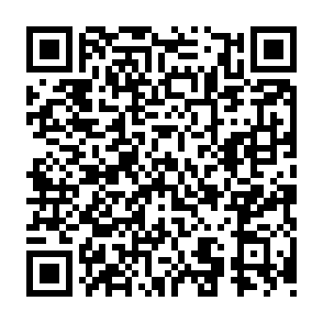 QR Code for Taverna Mercatto