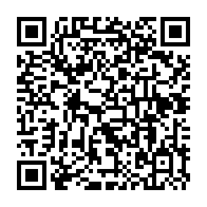 QR Code for Mago Grill & Cantina