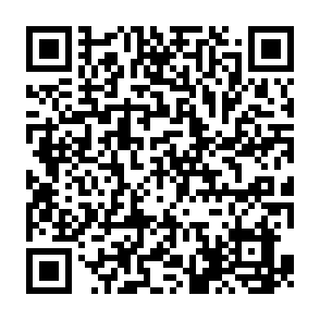 QR Code for Wooden City Tacoma