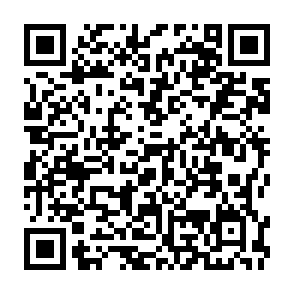 QR Code for La Parra Restaurant & Bar