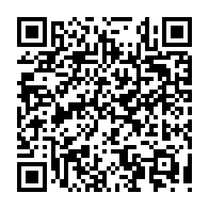 QR Code for Salto Restaurant & Bar