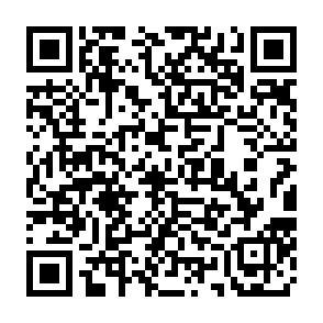 QR Code for GEORGE Restaurant