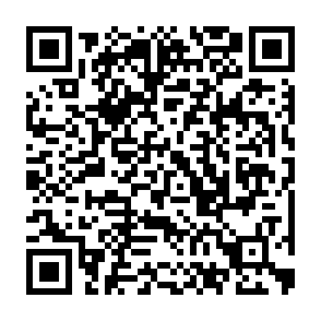 QR Code for Pro Fit Training Gym