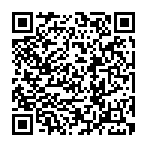 QR Code for Foglifter Coffee Roasters