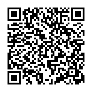 QR Code for Nativo Coffee Shop