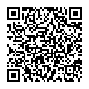 QR Code for The Dubliner Restaurant