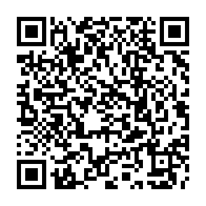 QR Code for Ognisko Restaurant