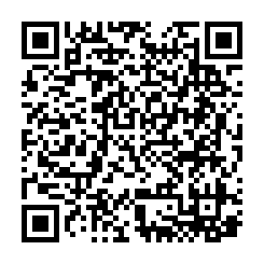 QR Code for Twisted Trompo