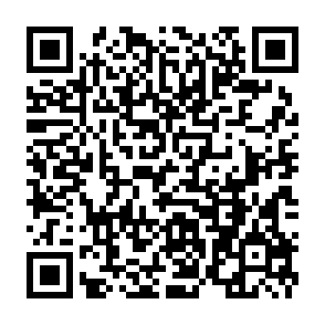 QR Code for Brunin Family Cafe