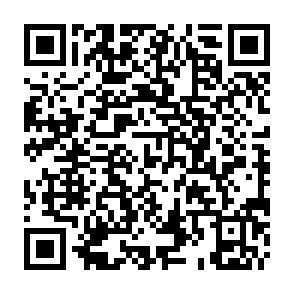 QR Code for SOCIAL CORNER YALETOWN