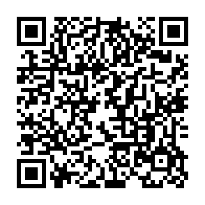 QR Code for Carlino Restaurant