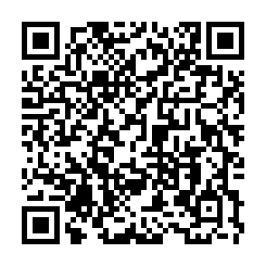 QR Code for Bar+ Karaoke Lounge