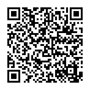 QR Code for Hailed Coffee - College Park