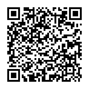 QR Code for Louie Coffee Shop