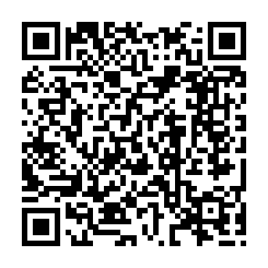 QR Code for STAY GOLD - BROCK