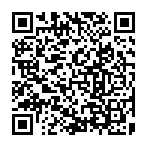 QR Code for Fit Squad Training Gym