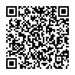 QR Code for Haven Fitness Center