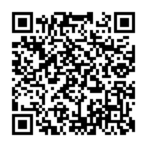 QR Code for Wichita Strength & Fitness